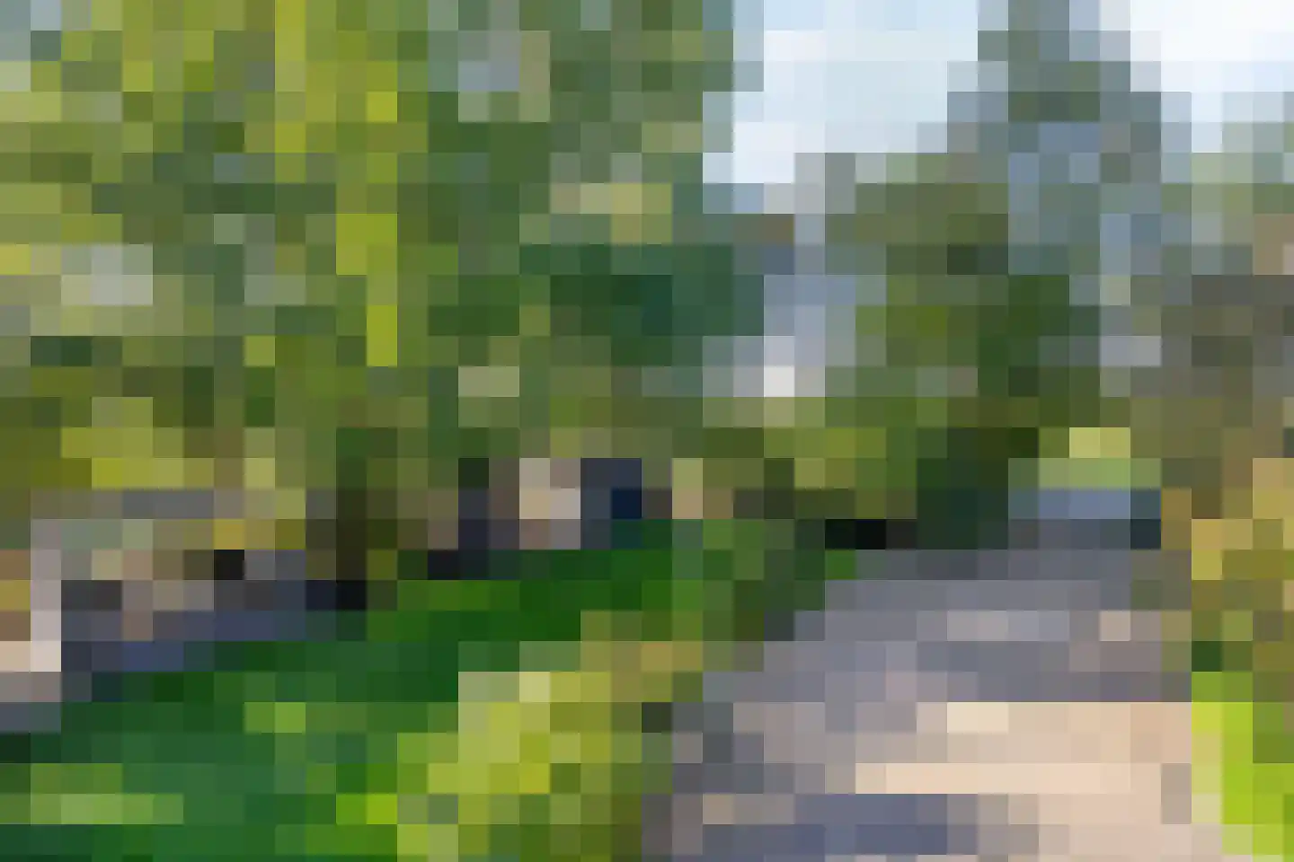 Bobeldijk 107 Berkhout thumbnail 85