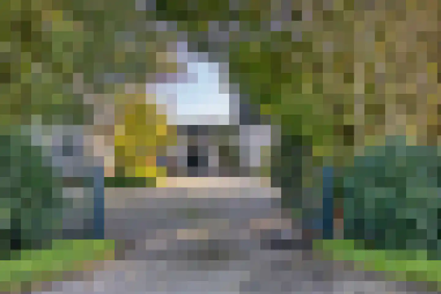 Bobeldijk 107 Berkhout thumbnail 86