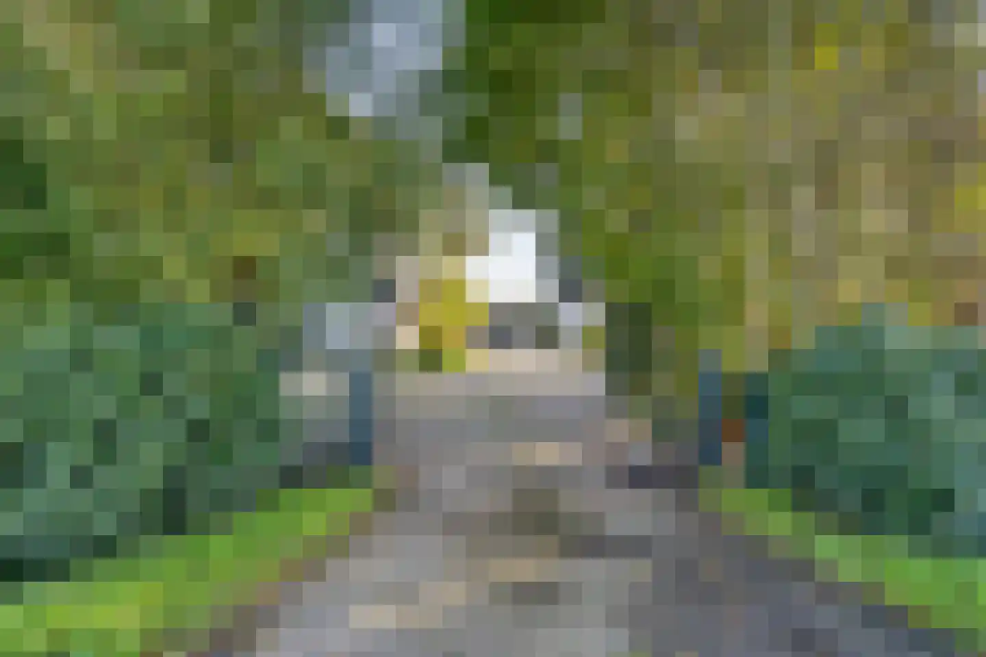 Bobeldijk 107 Berkhout thumbnail 87