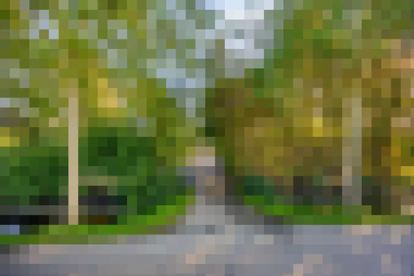 Bobeldijk 107 Berkhout thumbnail 88
