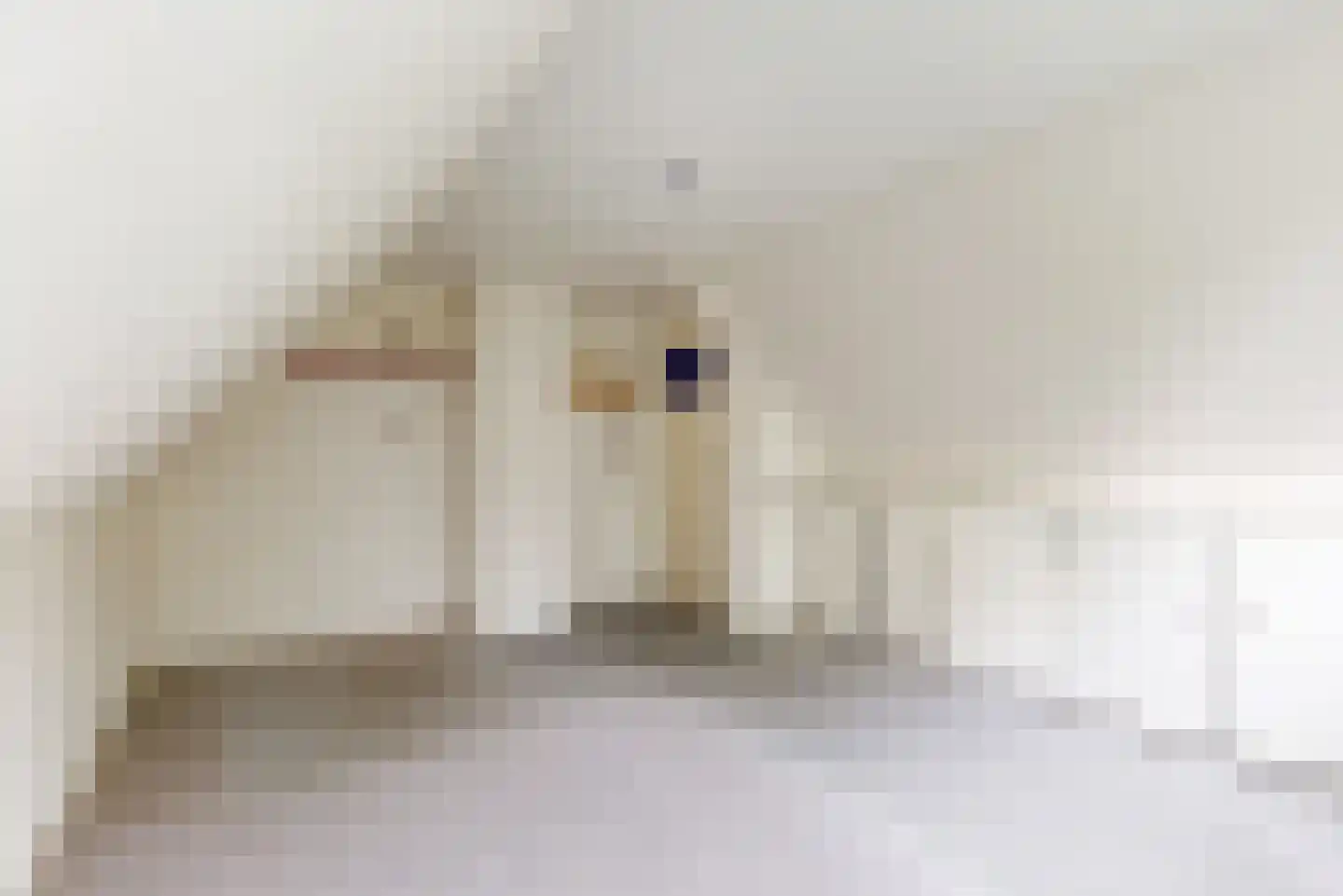 Bobeldijk 11 Berkhout thumbnail 22