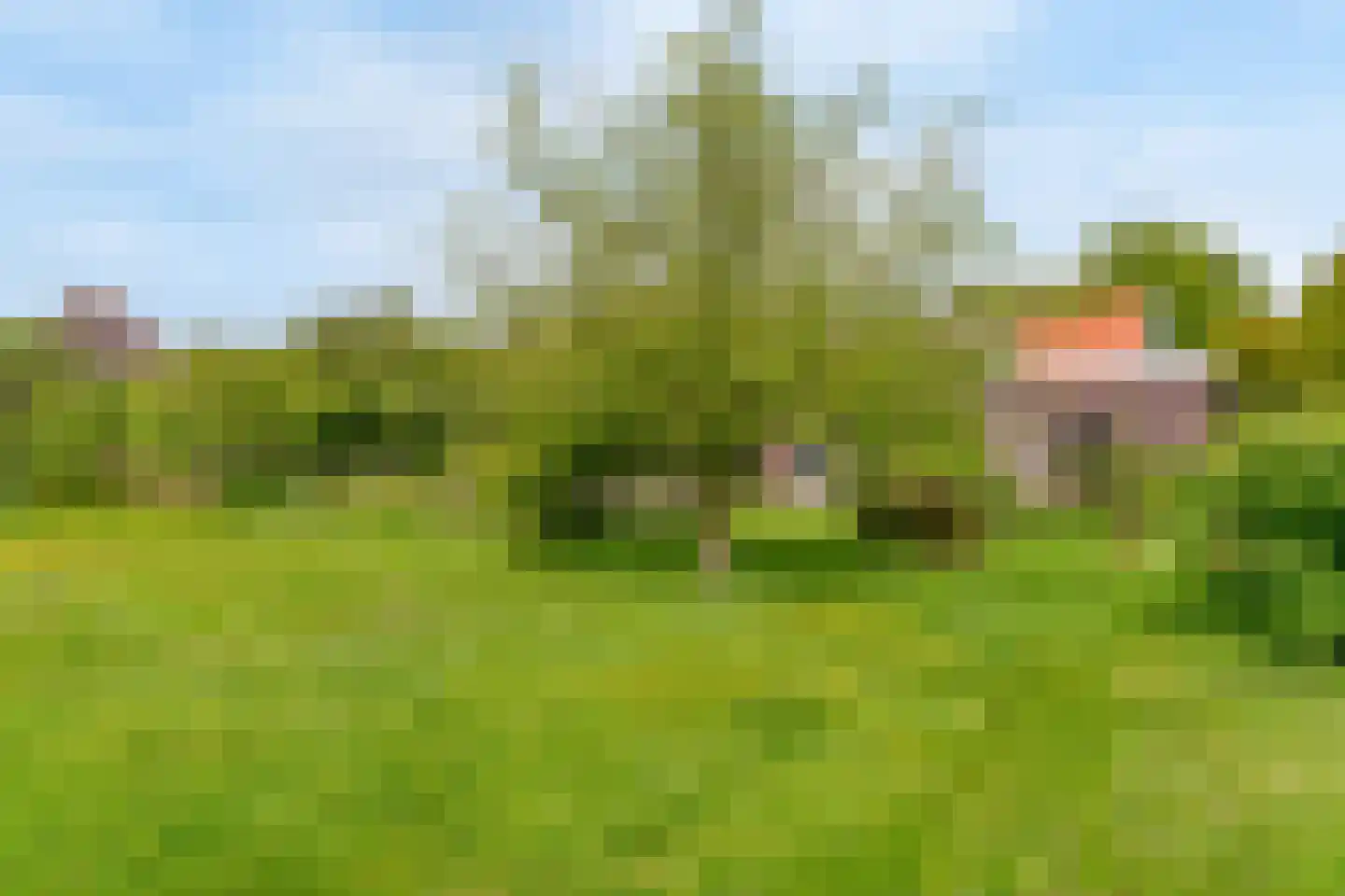 Bobeldijk 11 Berkhout thumbnail 26