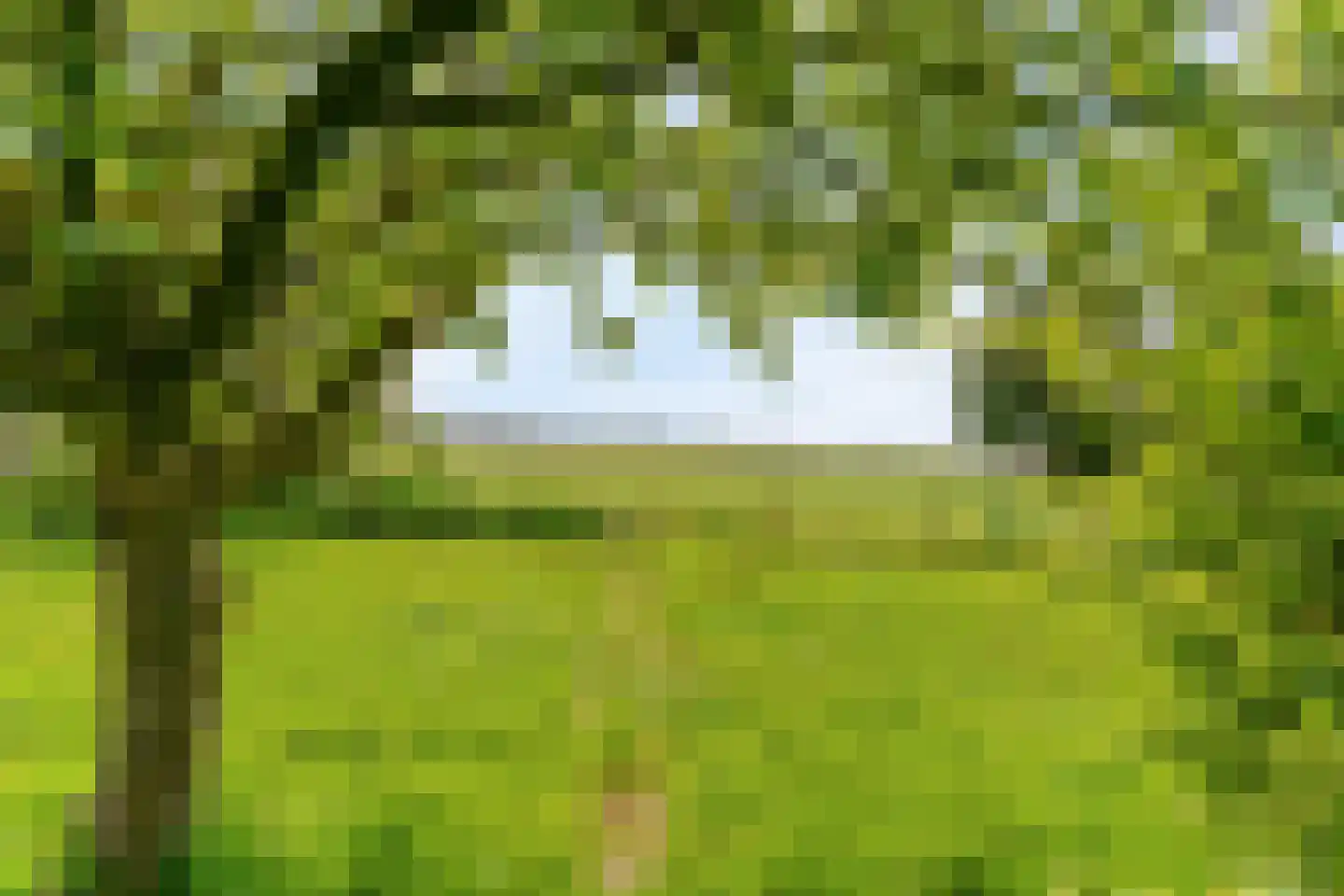 Bobeldijk 11 Berkhout thumbnail 30