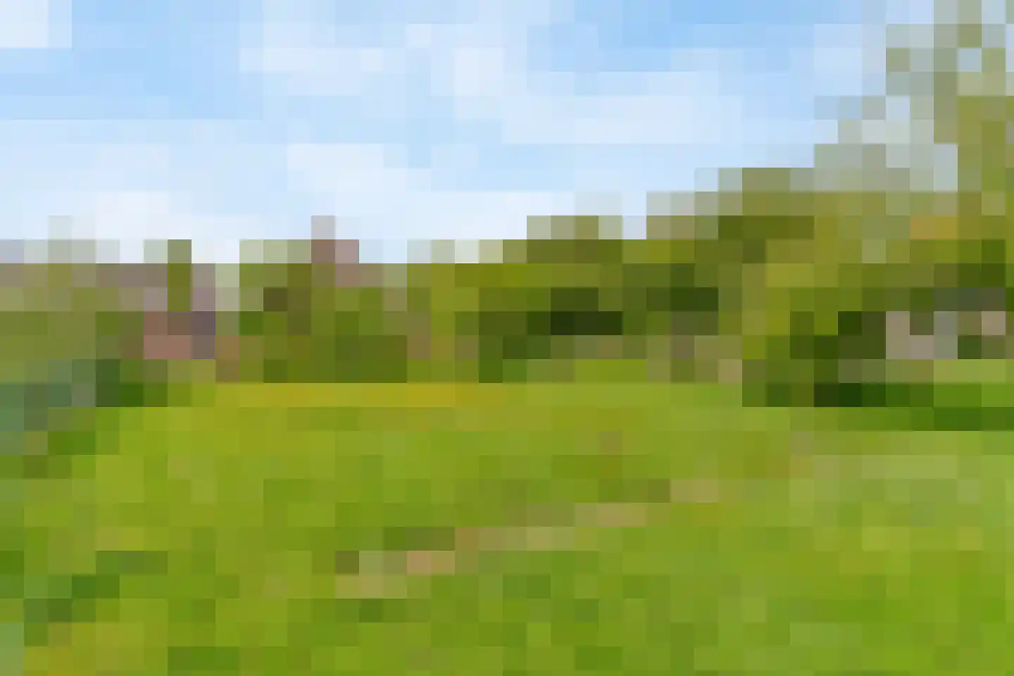 Bobeldijk 11 Berkhout thumbnail 32