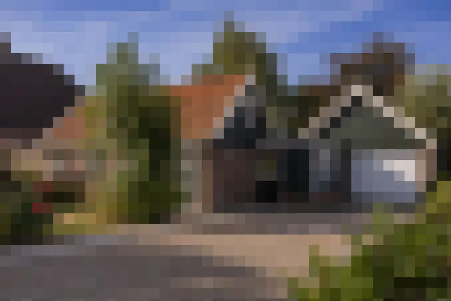 Bobeldijk 151 Spierdijk thumbnail 27