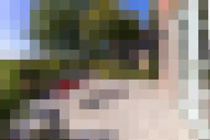 Bobeldijk 47 Berkhout thumbnail 24