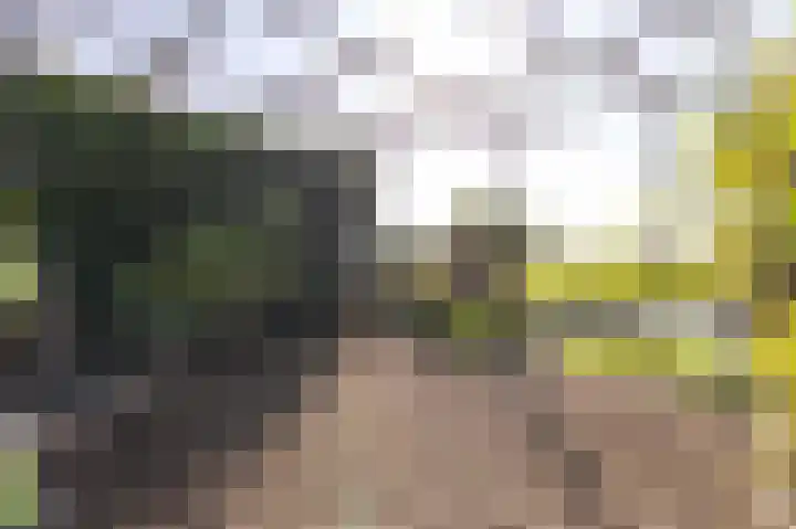 Bobeldijk 47 Berkhout thumbnail 26