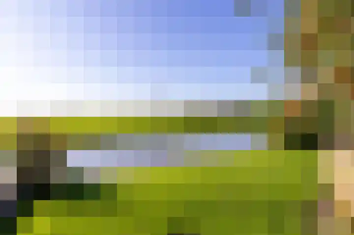 Bobeldijk 47 Berkhout thumbnail 27
