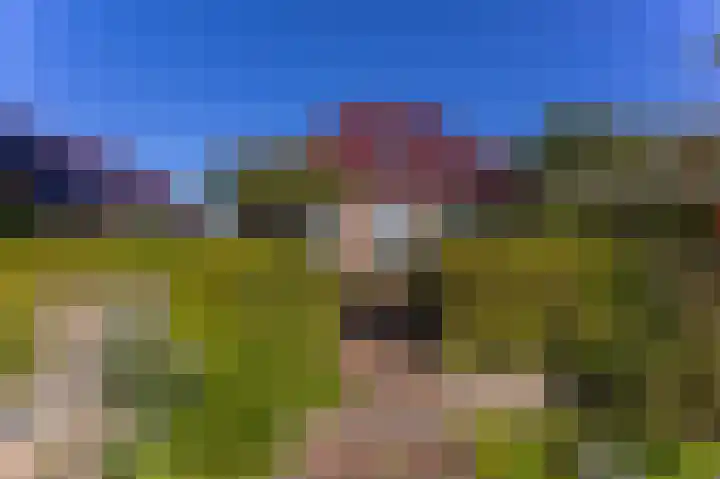 Bobeldijk 47 Berkhout thumbnail 29