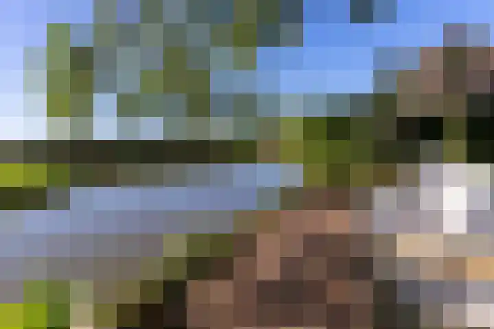 Bobeldijk 47 Berkhout thumbnail 32