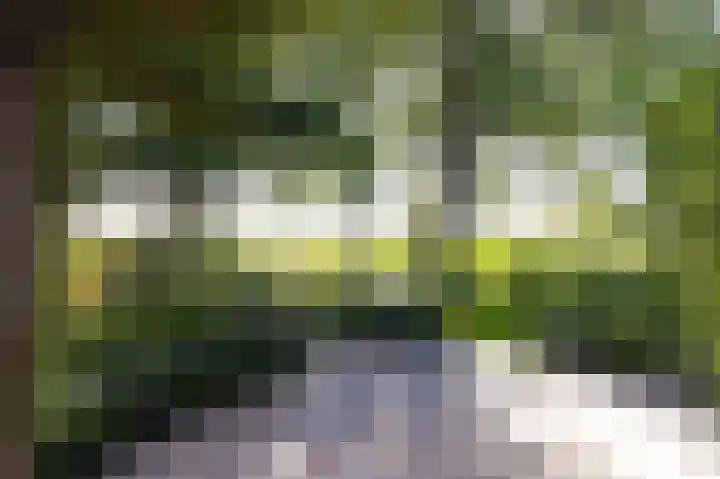 Bobeldijk 47 Berkhout thumbnail 33