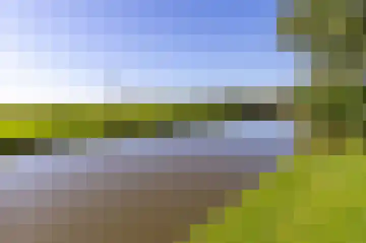 Bobeldijk 47 Berkhout thumbnail 37