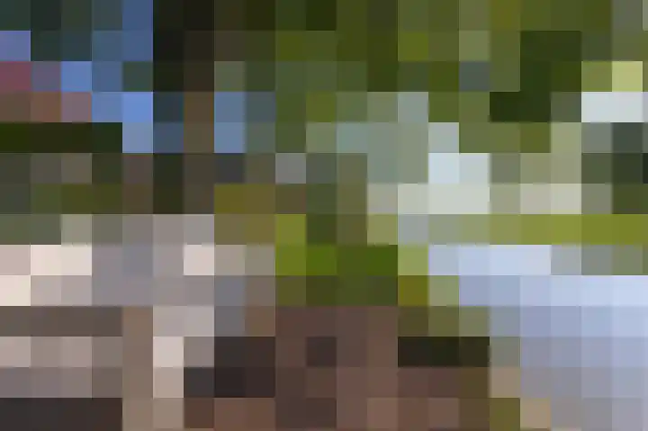 Bobeldijk 47 Berkhout thumbnail 4