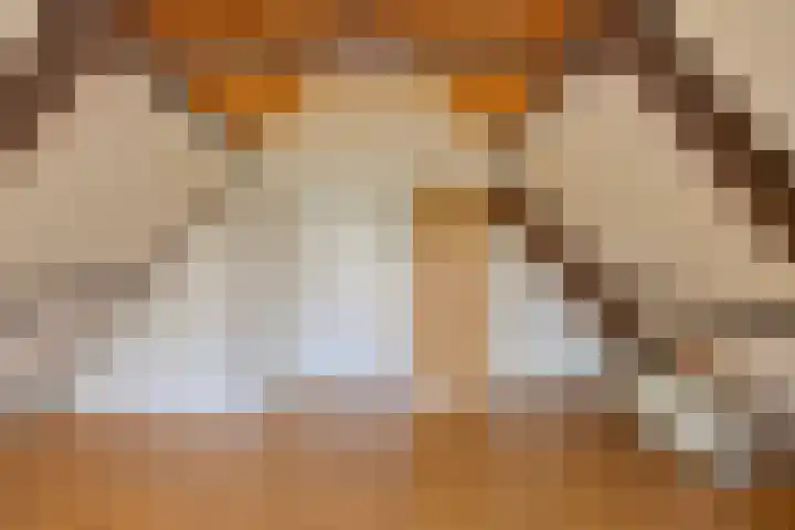 Bobeldijk 63 Berkhout thumbnail 19