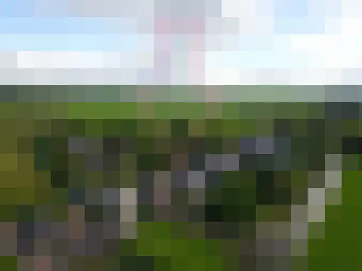 Bobeldijk 63 Berkhout thumbnail 24