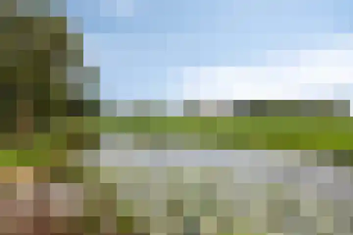 Bobeldijk 63 Berkhout thumbnail 27