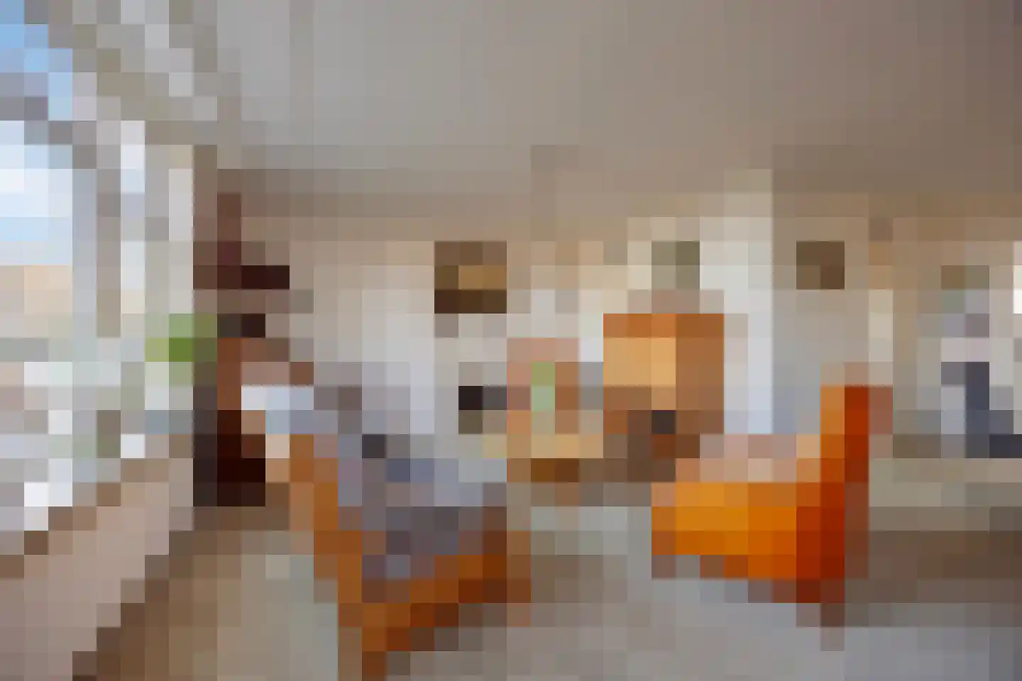 Bobeldijk 98 Berkhout thumbnail 11