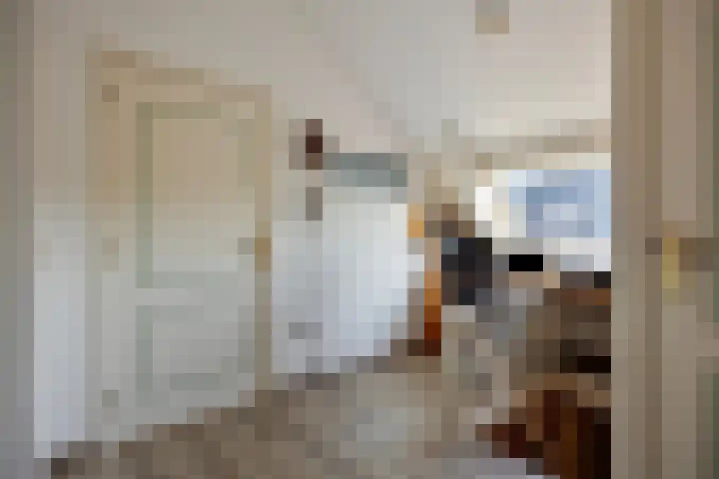 Bobeldijk 98 Berkhout thumbnail 22