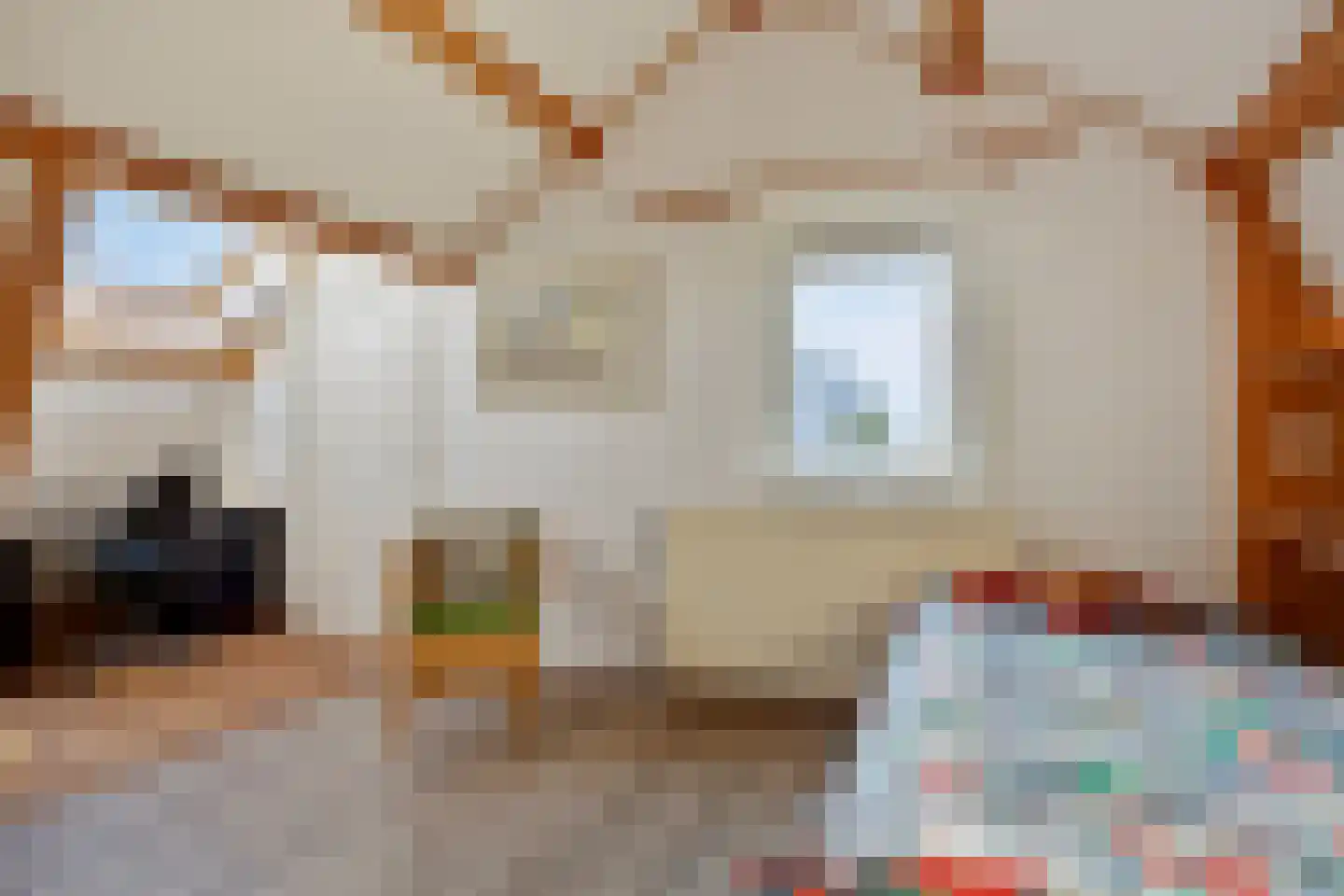 Bobeldijk 98 Berkhout thumbnail 26