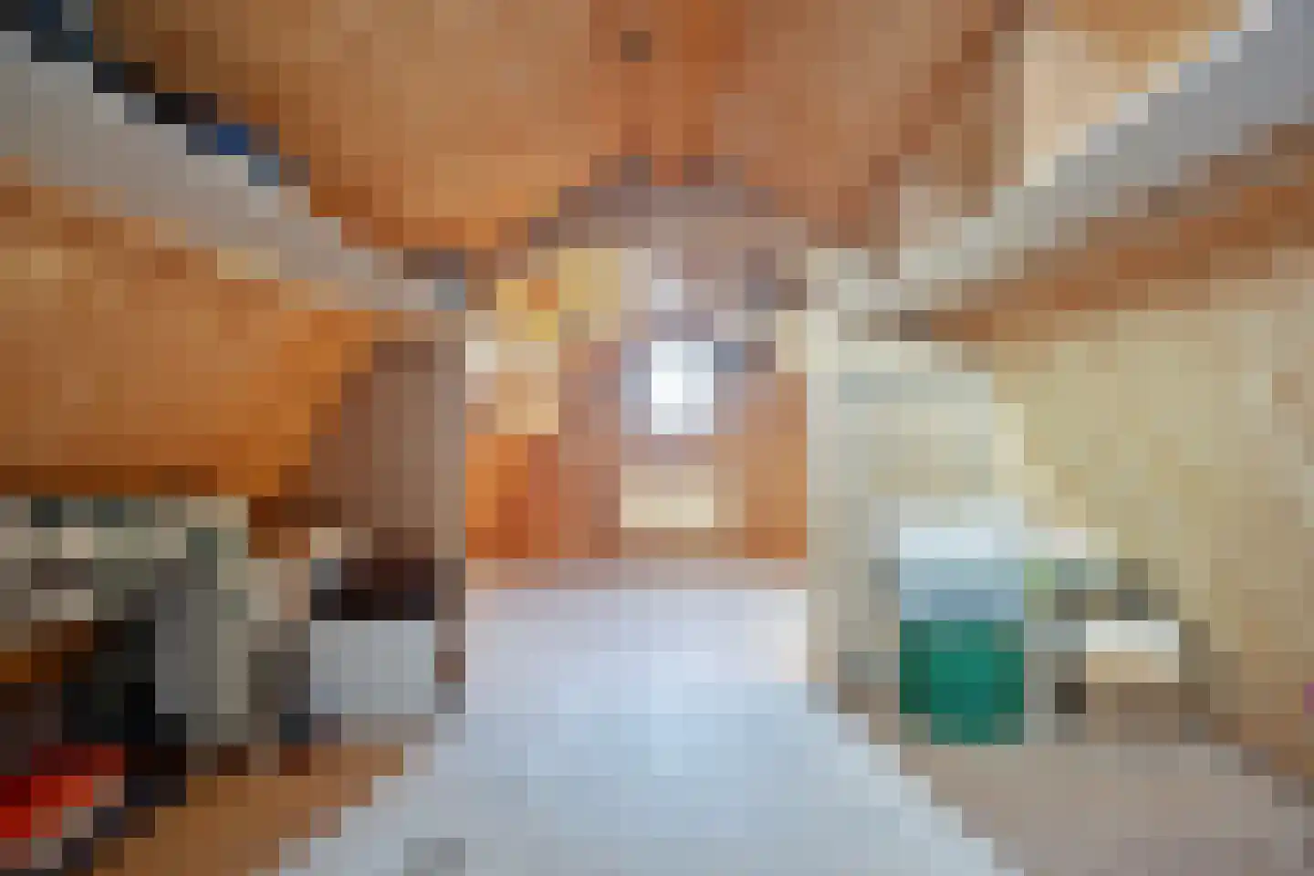 Bobeldijk 98 Berkhout thumbnail 28