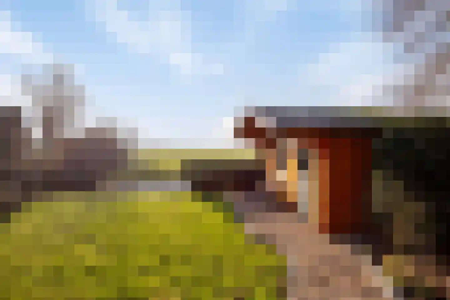 Bobeldijk 98 Berkhout thumbnail 33