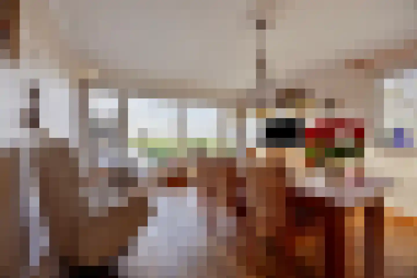 Bobeldijk 98 Berkhout thumbnail 7