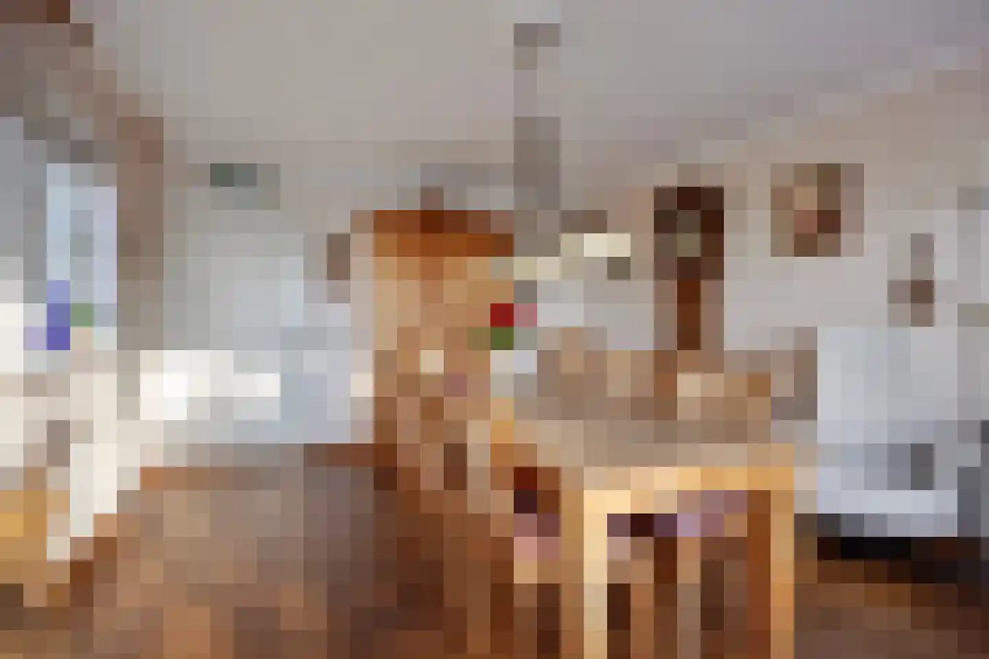 Bobeldijk 98 Berkhout thumbnail 9