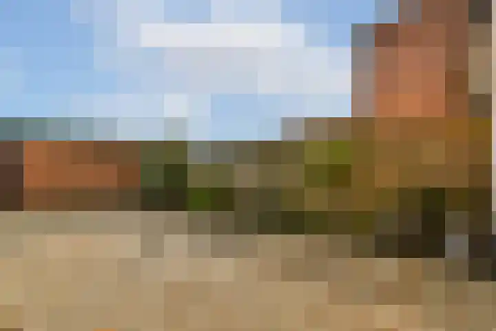 Bobelkamp 1 Landsmeer thumbnail 11