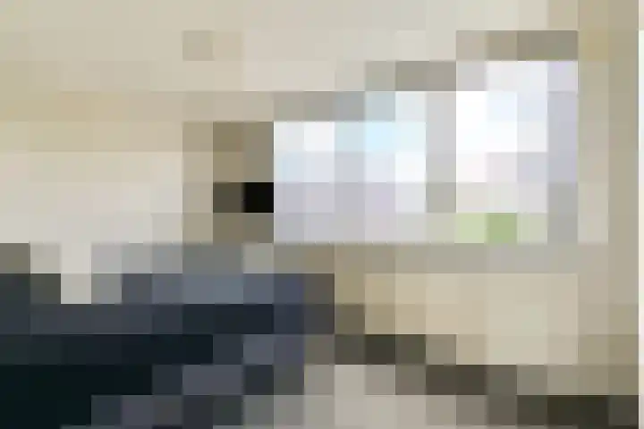Bobelkamp 1 Landsmeer thumbnail 15