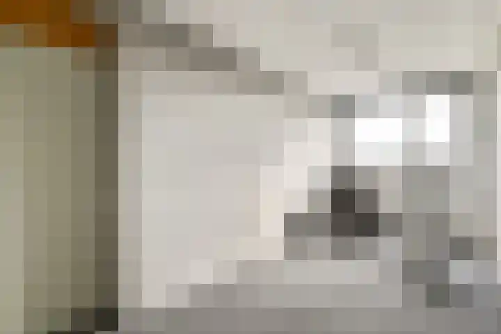 Bobelkamp 1 Landsmeer thumbnail 17
