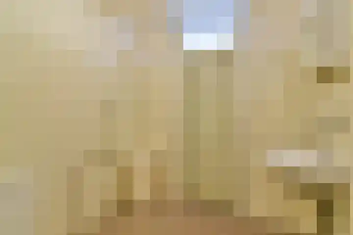 Bobelkamp 1 Landsmeer thumbnail 20