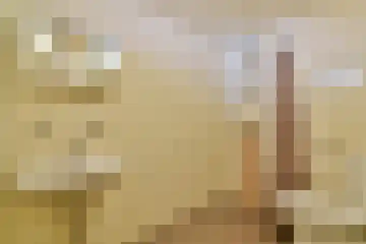 Bobelkamp 1 Landsmeer thumbnail 21