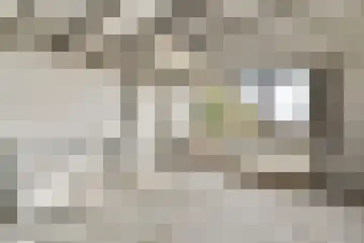 Bobelkamp 1 Landsmeer thumbnail 22
