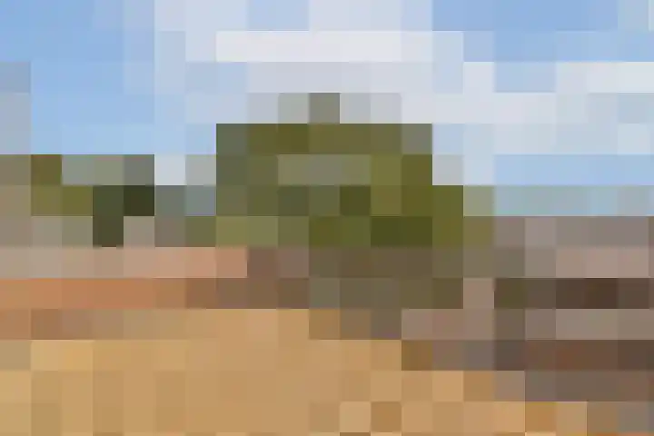 Bobelkamp 1 Landsmeer thumbnail 24