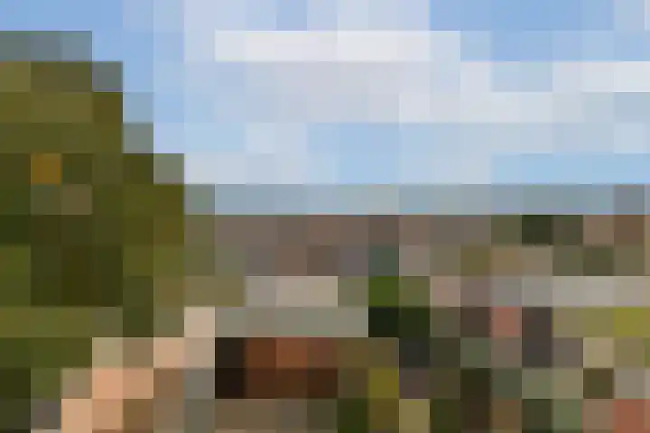 Bobelkamp 1 Landsmeer thumbnail 25