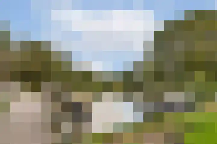 Bobelkamp 1 Landsmeer thumbnail 29