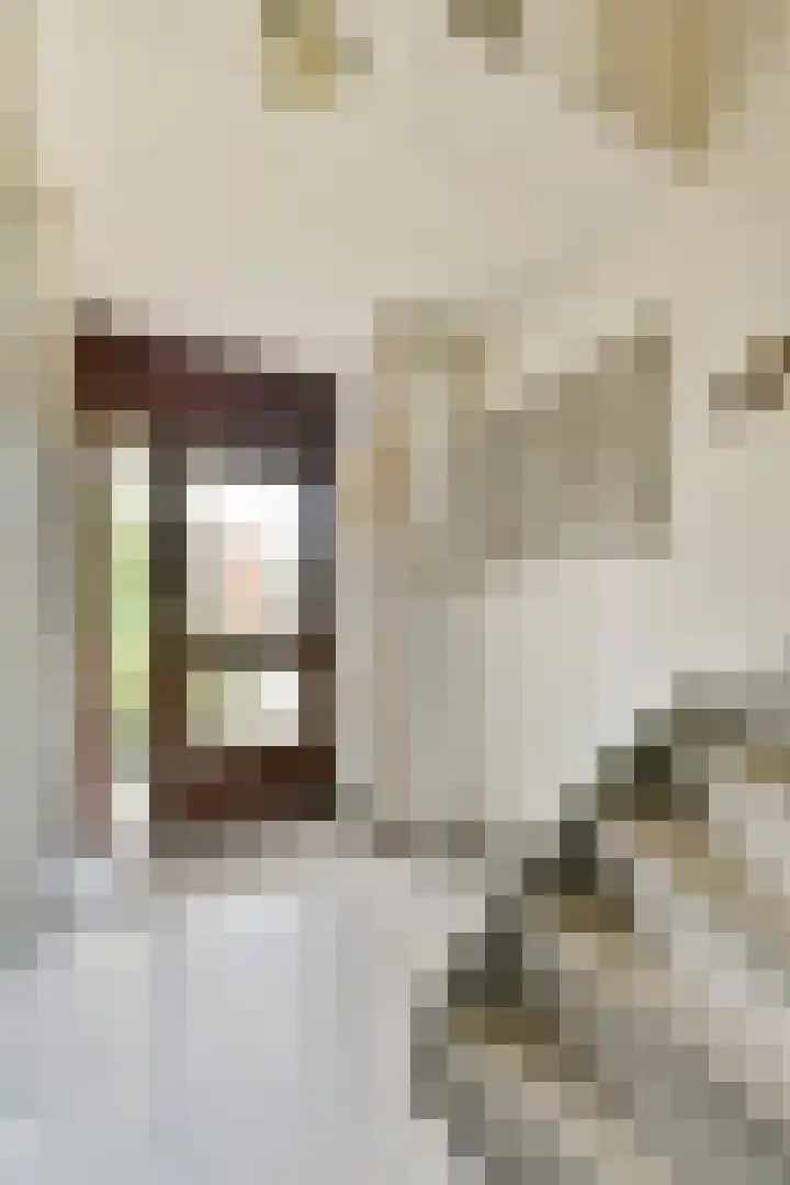 Bobelkamp 1 Landsmeer thumbnail 4