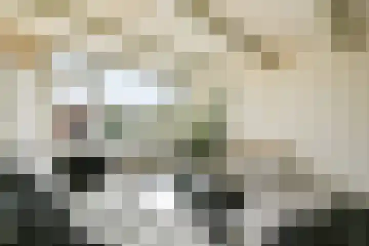 Bobelkamp 1 Landsmeer thumbnail 5