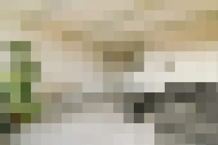 Bobelkamp 1 Landsmeer thumbnail 6