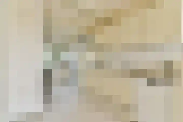 Bobelkamp 1 Landsmeer thumbnail 8