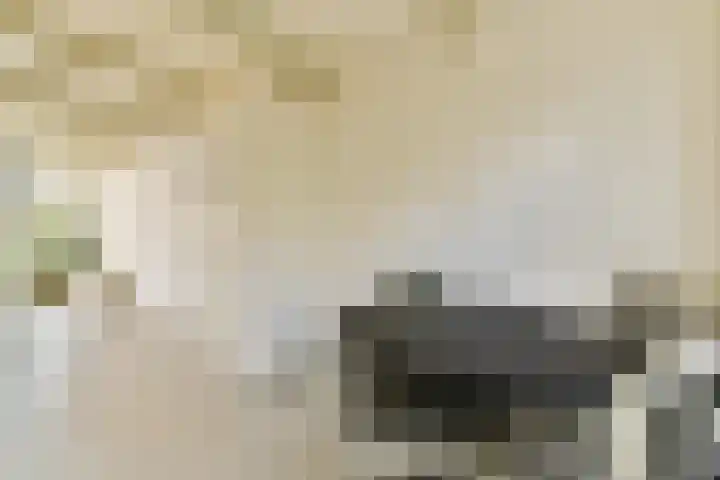 Bobelkamp 1 Landsmeer thumbnail 9