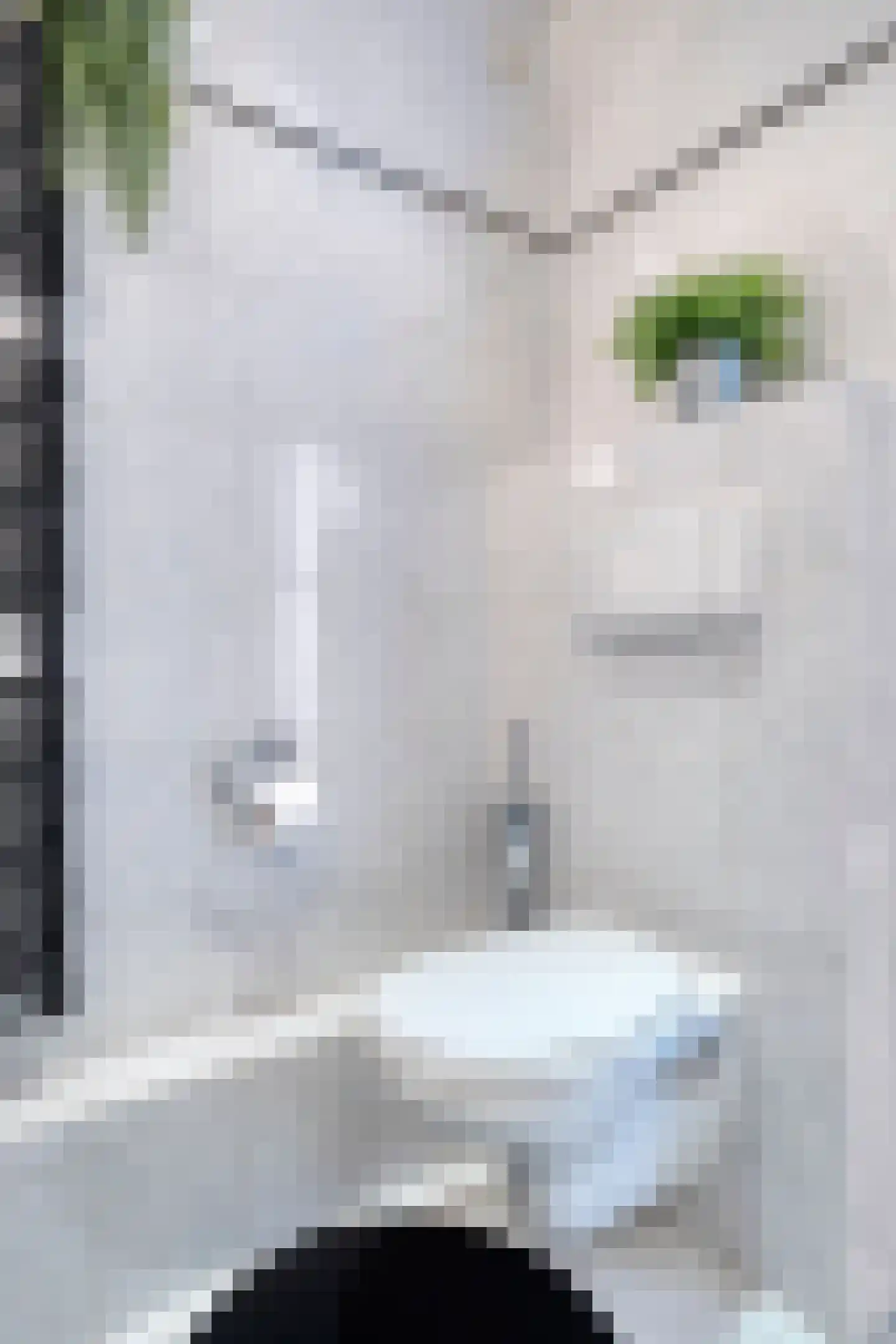 Bobinedonk 8 Maastricht thumbnail 24