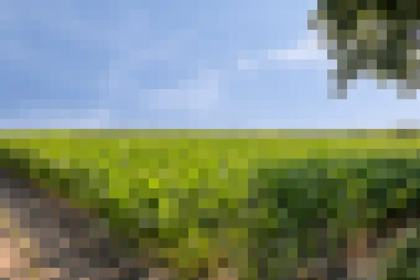 Bobinedonk 8 Maastricht thumbnail 39