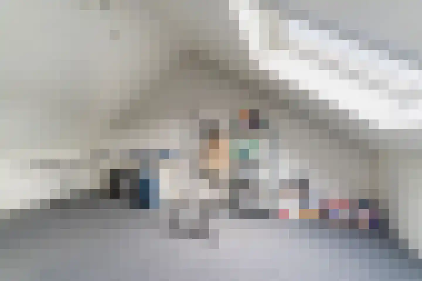 Boc van Mere 14 Boxmeer thumbnail 23