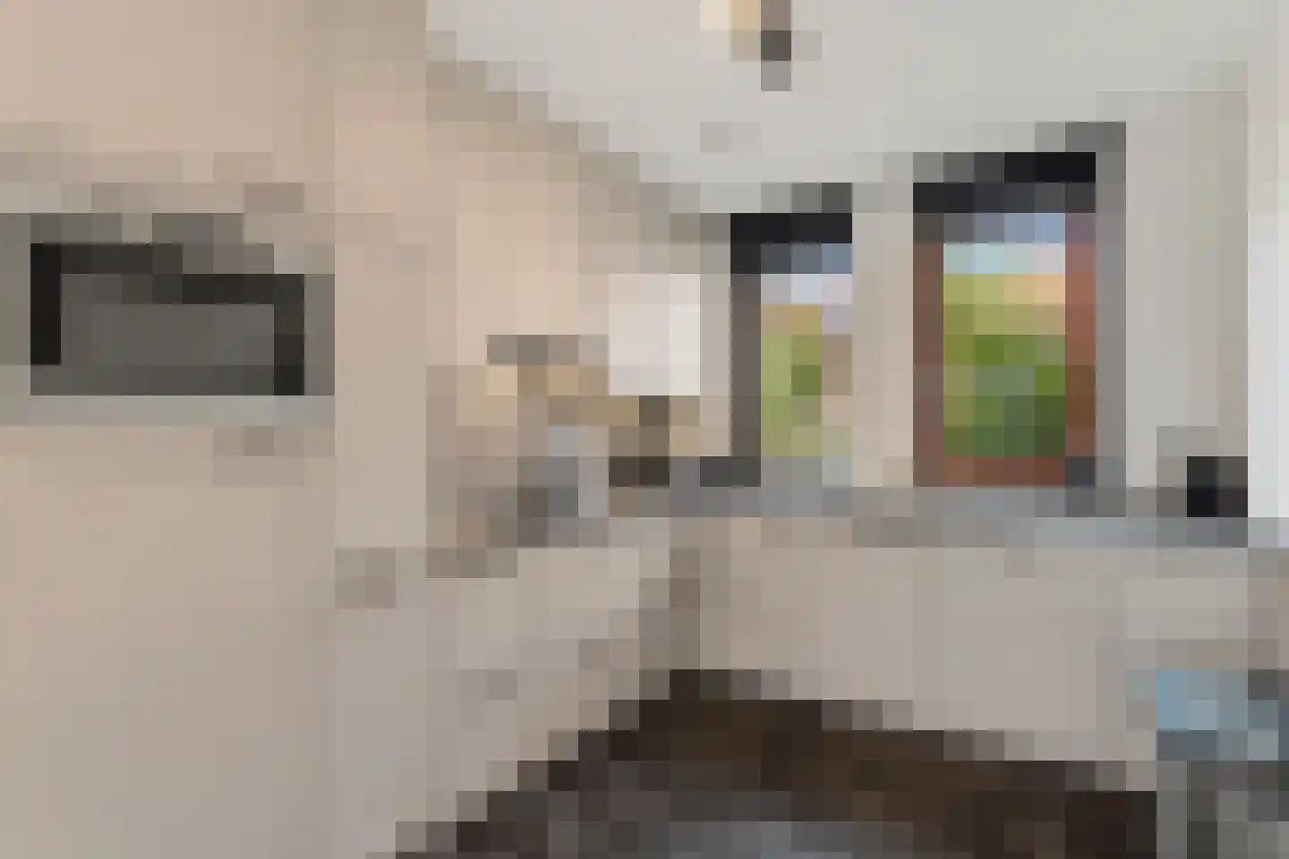 Boc van Mere 14 Boxmeer thumbnail 5
