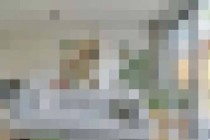 Boccacciopad 10 Utrecht thumbnail 10