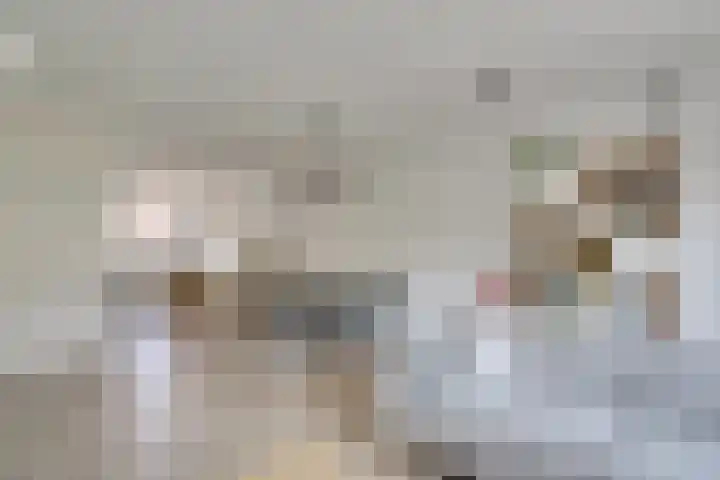 Boccacciopad 10 Utrecht thumbnail 11
