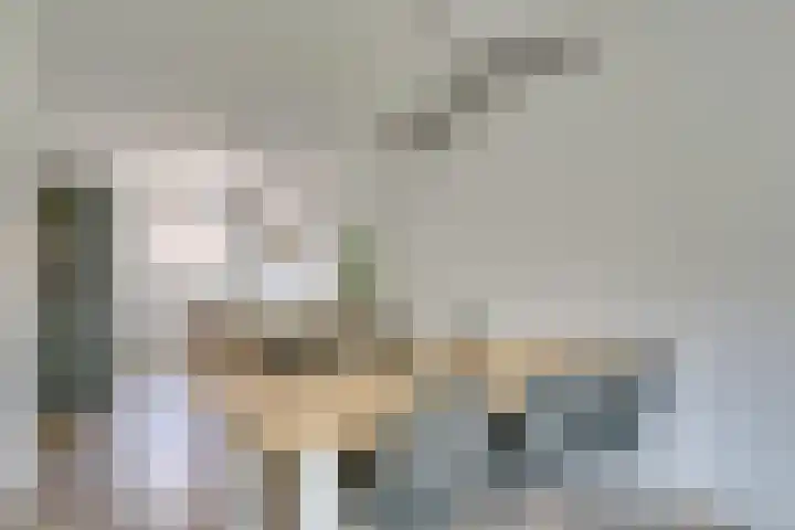 Boccacciopad 10 Utrecht thumbnail 12