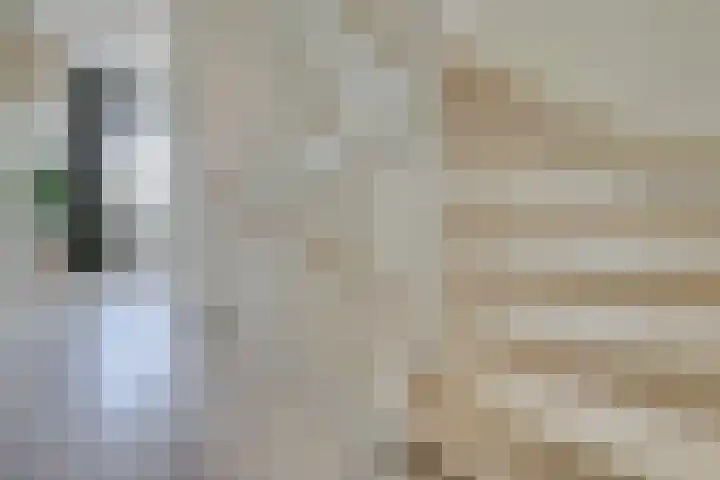 Boccacciopad 10 Utrecht thumbnail 28