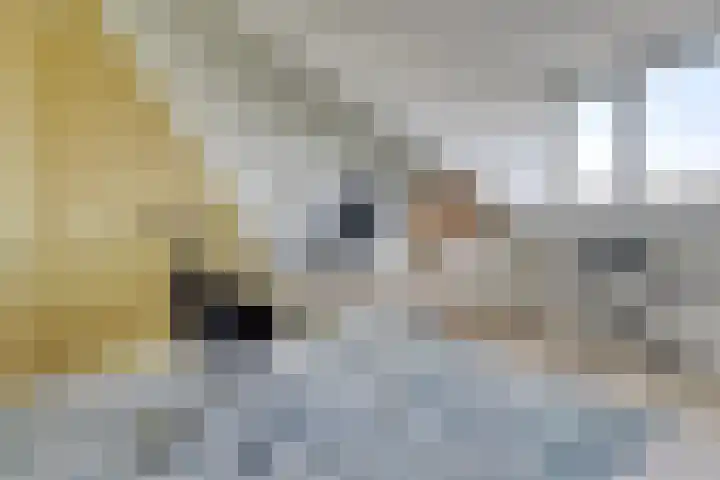 Boccacciopad 10 Utrecht thumbnail 30
